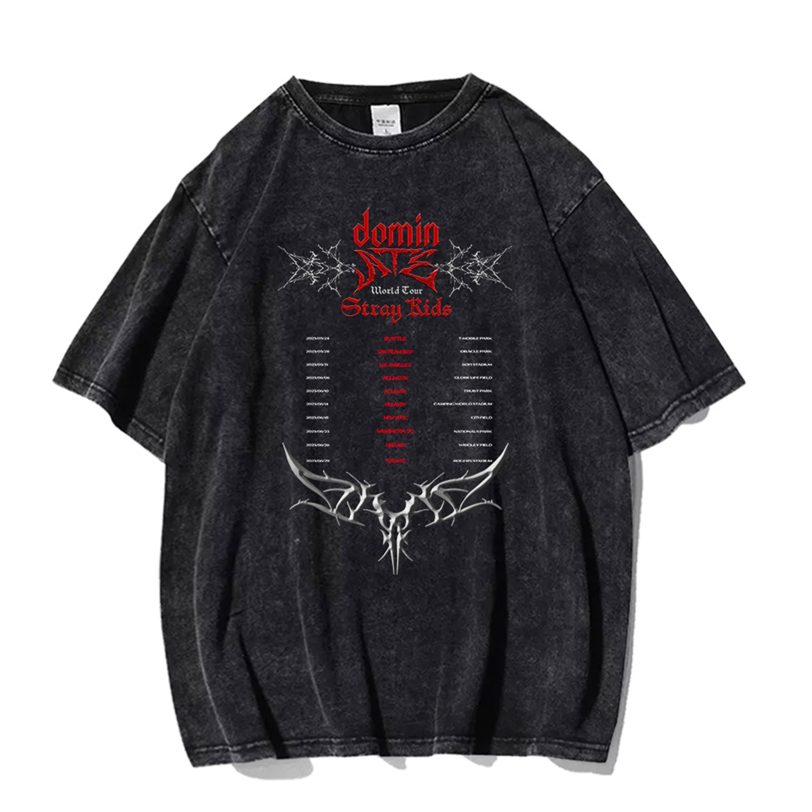 straykids 2025 World Tour dominATE Washed T-shirt