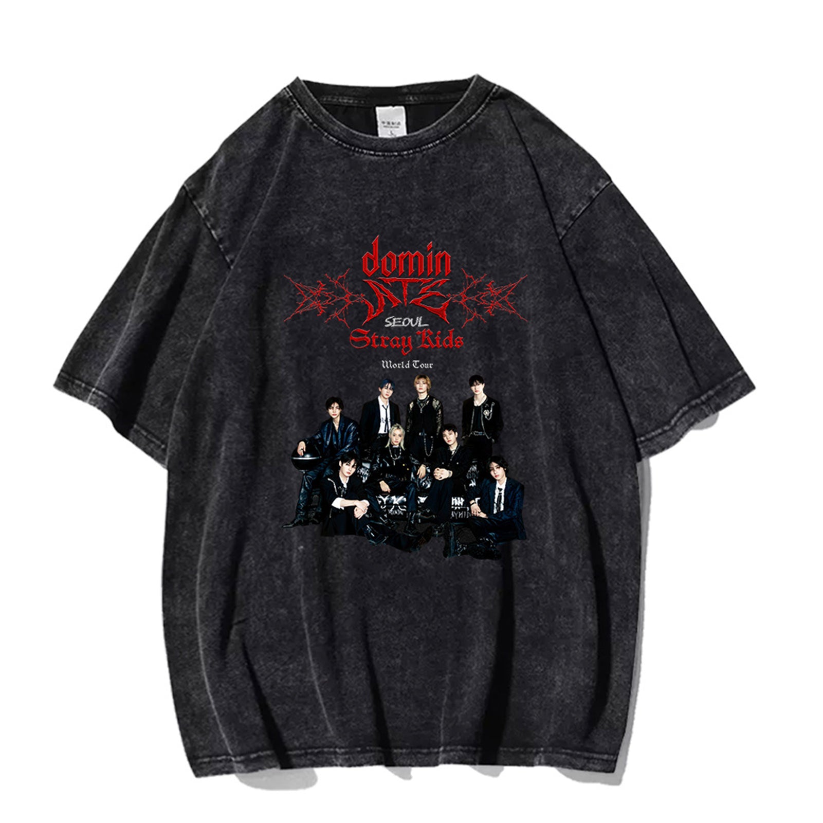 straykids 2025 World Tour dominATE Washed T-shirt