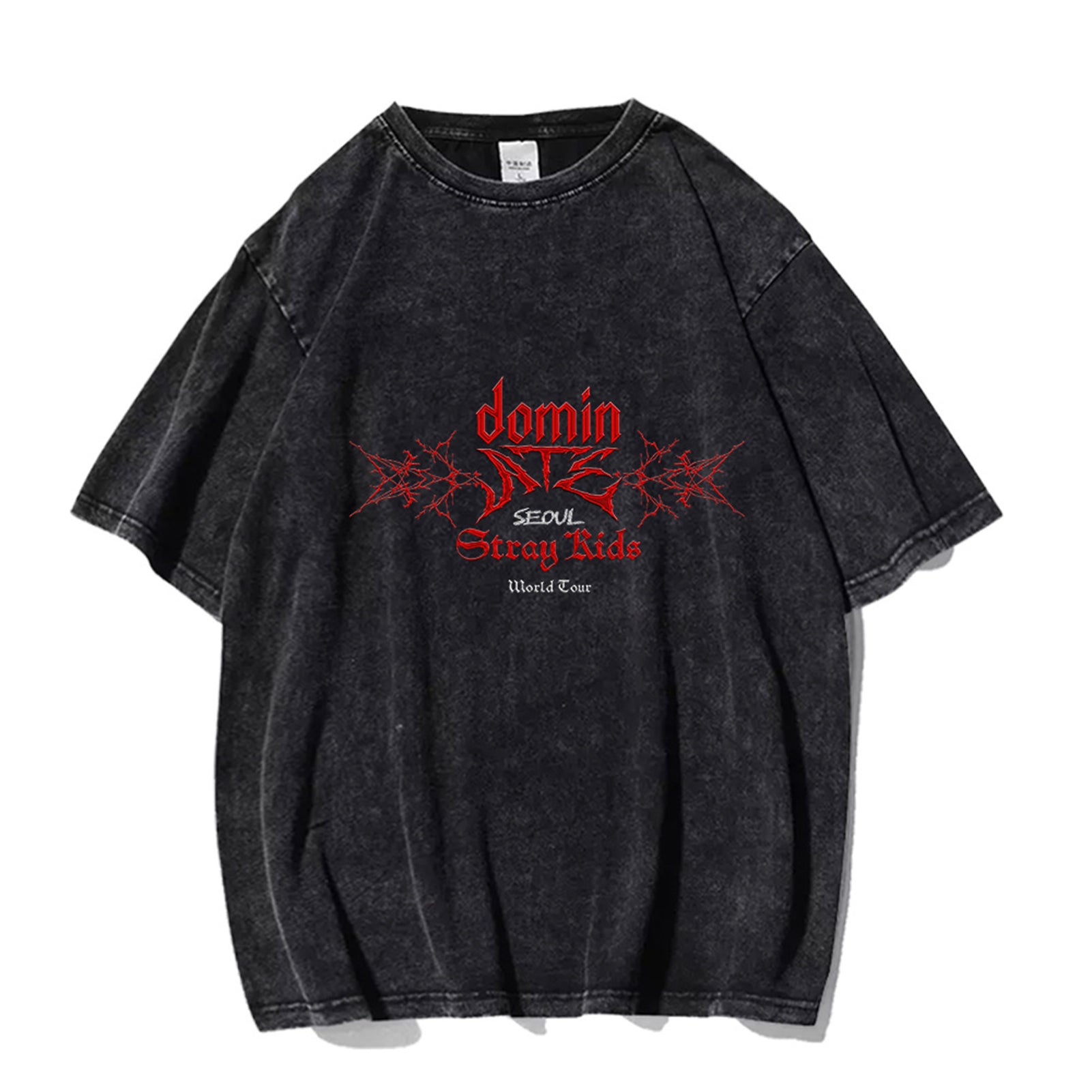 straykids 2025 World Tour dominATE Washed T-shirt