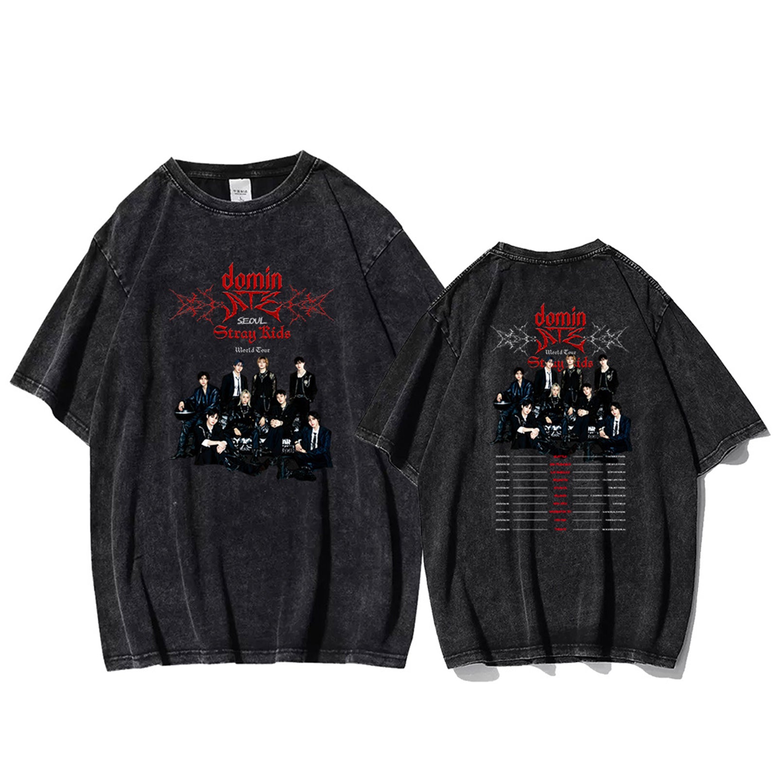 straykids 2025 World Tour dominATE  Washed T-shirt